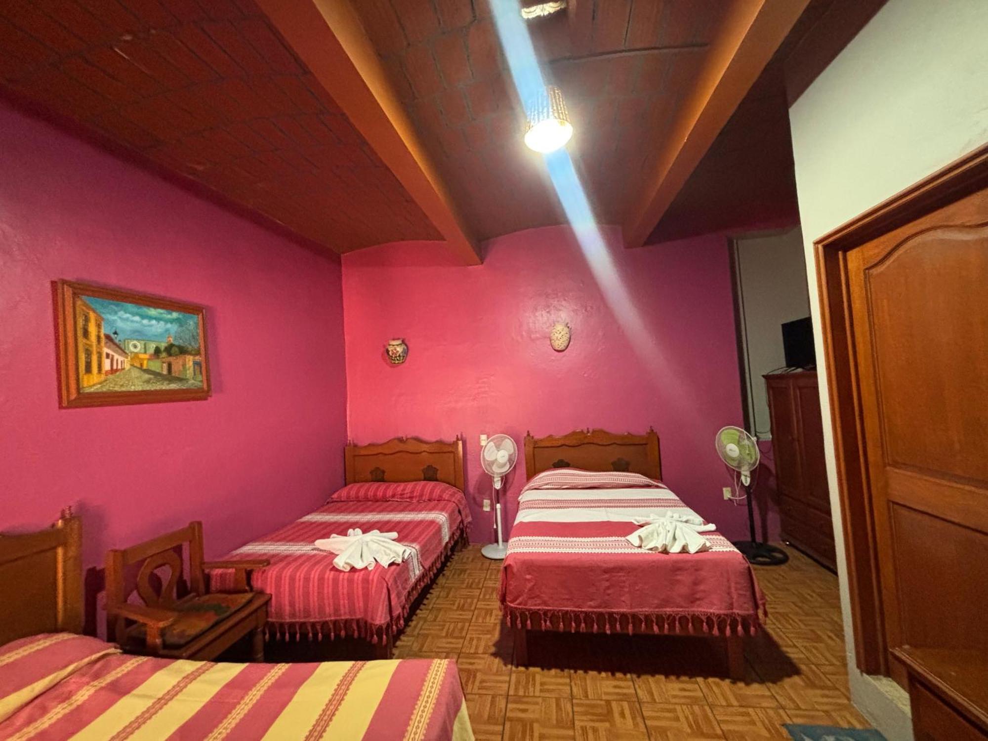 Hotel Posada "Mi Rosita" Oaxaca Dış mekan fotoğraf