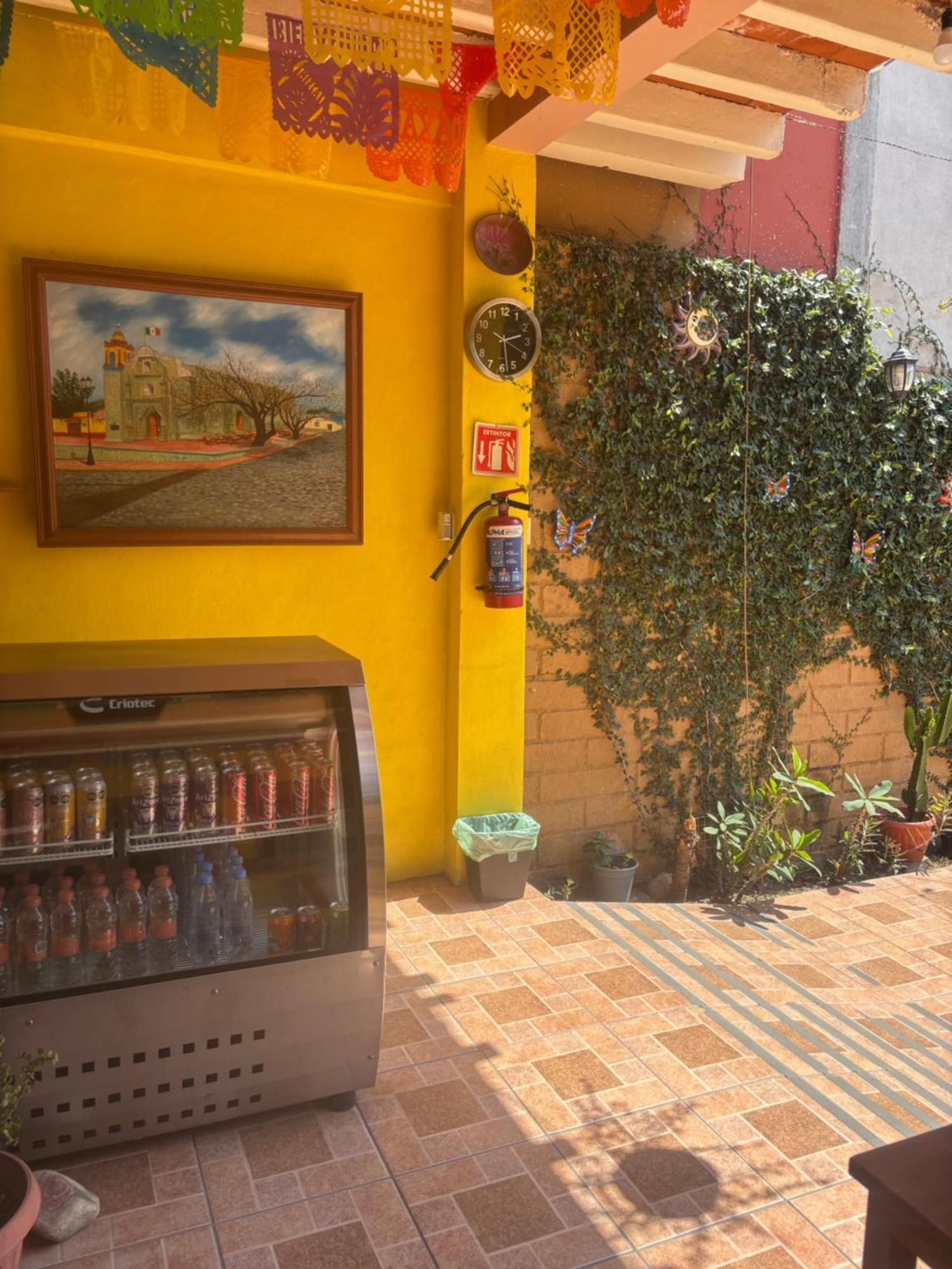 Hotel Posada "Mi Rosita" Oaxaca Dış mekan fotoğraf