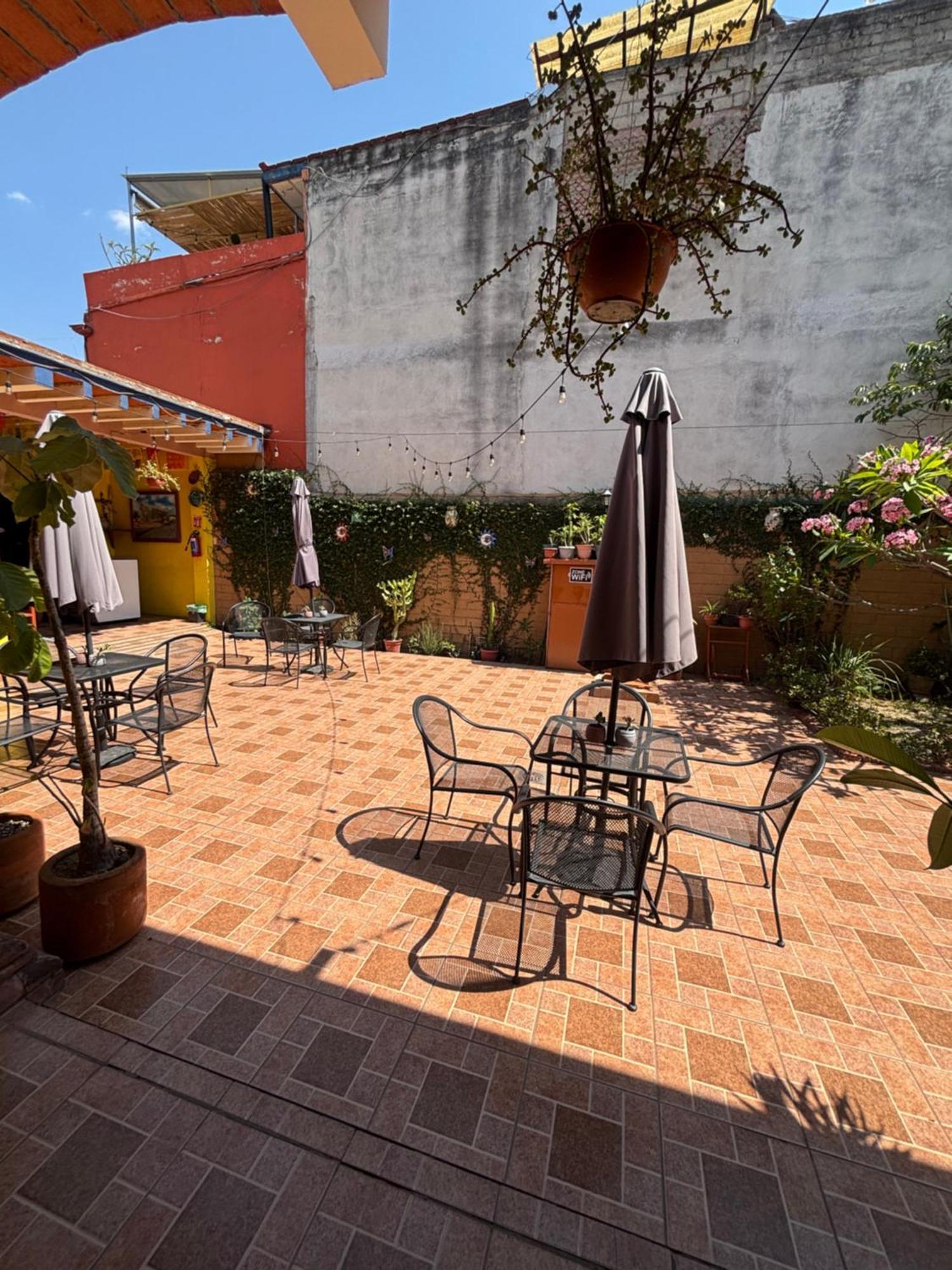 Hotel Posada "Mi Rosita" Oaxaca Dış mekan fotoğraf